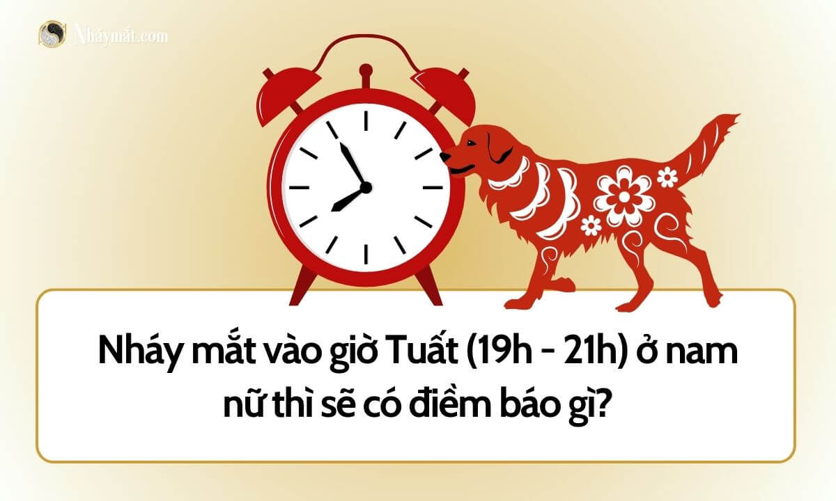 Nháy mắt vào giờ Tuất (19h - 21h) ở nam nữ thì sẽ có điềm báo gì?